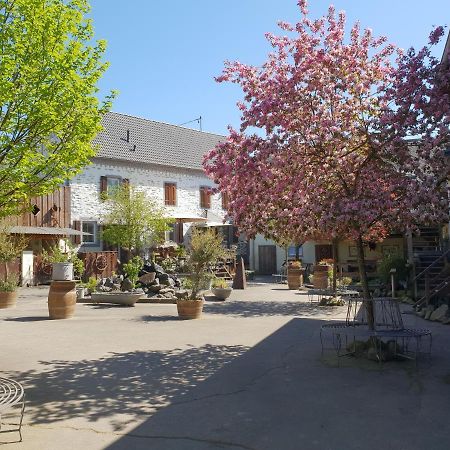 Schoene Wohnung Kleiner Onkel Auf Idyllischem Reiterhof Nahe Burg Eltz Münstermaifeld Exteriör bild