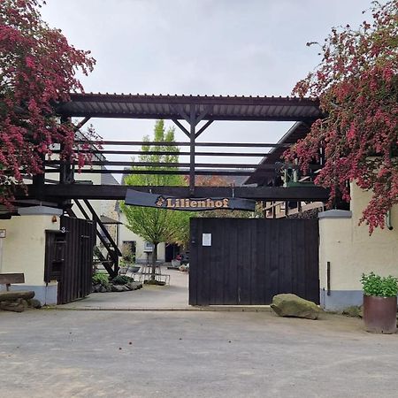 Schoene Wohnung Kleiner Onkel Auf Idyllischem Reiterhof Nahe Burg Eltz Münstermaifeld Exteriör bild